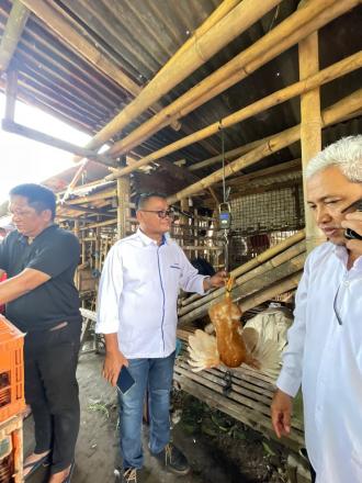 Kelompok Ternak di Mertosanan Kulon Terima Bantuan Ternak Ayam dari Kementerian Pertanian RI